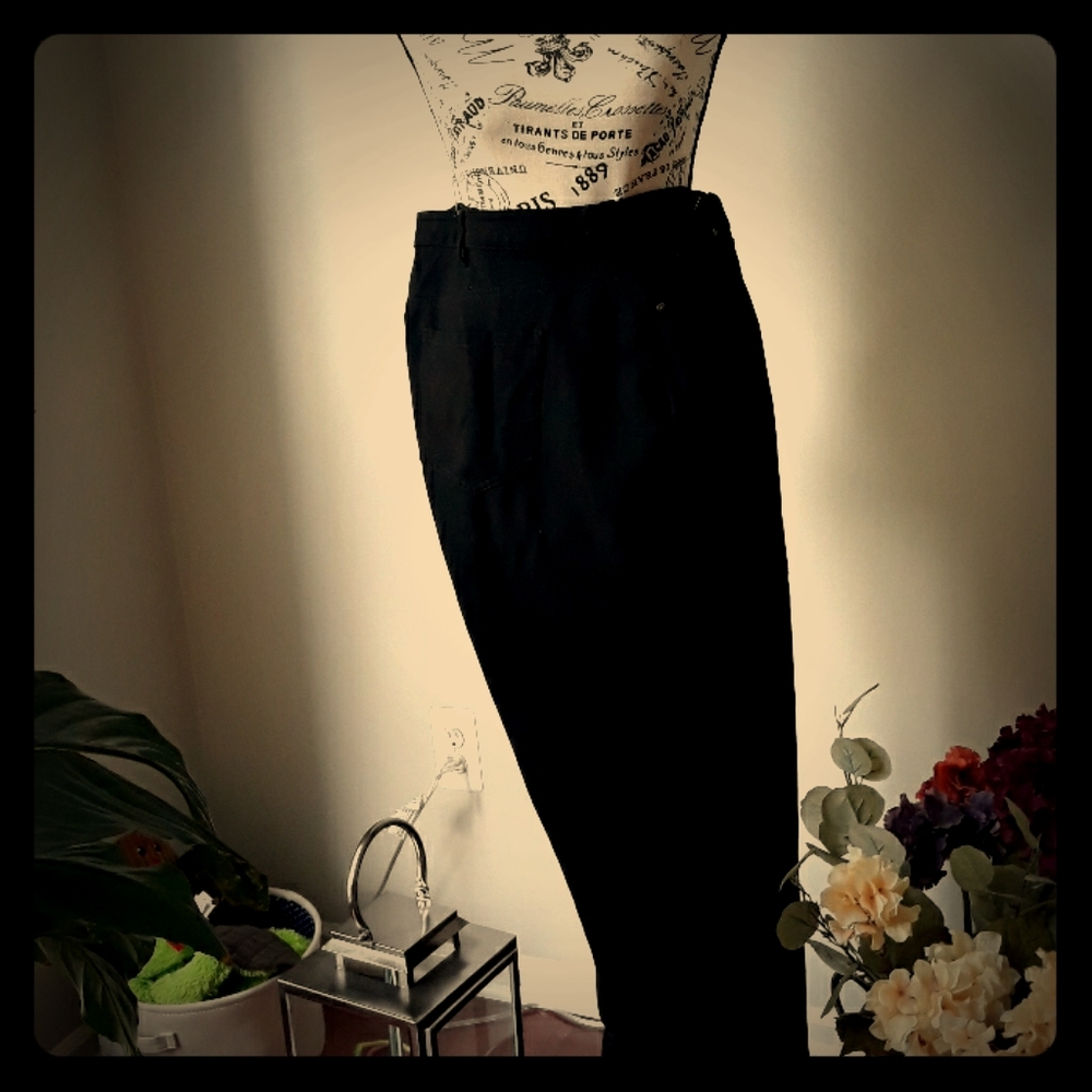 Gloria Vanderbilt/Amanda stretch